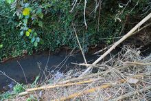 Imponen medidas preventivas para proteger cuenca del r&iacute;o Pance