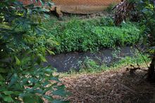 Imponen medidas preventivas para proteger cuenca del r&iacute;o Pance