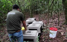 Liberados este a&ntilde;o 94 animales silvestres