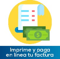 Imprime y paga en l&iacute;nea tu factura de impuestos y contribuciones