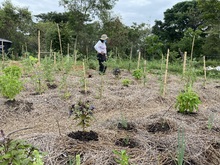 Huertas urbanas le apuntan a generar seguridad alimentaria y transformaci&oacute;n social