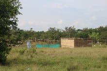 Realizaran recuperaci&oacute;n de espacio p&uacute;blico y restituci&oacute;n de predios en la ciudad 