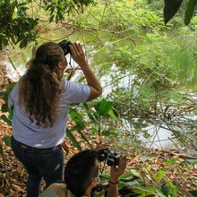 Humedal El Limonar: pulm&oacute;n de la ciudad recuperado para disfrute de los cale&ntilde;os  