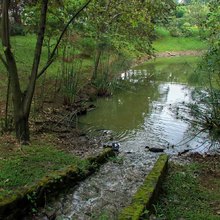 Humedal El Limonar: pulm&oacute;n de la ciudad recuperado para disfrute de los cale&ntilde;os  