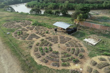 Sembrando 26.1 kil&oacute;metros de oportunidades