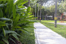 Un nuevo pulm&oacute;n verde se habilita en el sur de la ciudad