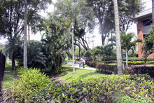 Un nuevo pulm&oacute;n verde se habilita en el sur de la ciudad