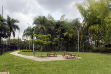 Un nuevo pulm&oacute;n verde se habilita en el sur de la ciudad