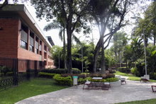 Un nuevo pulm&oacute;n verde se habilita en el sur de la ciudad