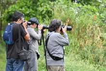 Humedal Charco Azul, un lugar ideal para el avistamiento de aves en el oriente de Cali