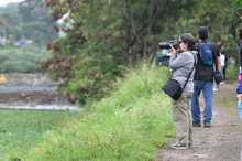 Humedal Charco Azul, un lugar ideal para el avistamiento de aves en el oriente de Cali