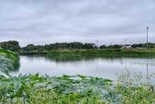 Humedal Charco Azul, un lugar ideal para el avistamiento de aves en el oriente de Cali