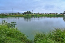 Reconociendo los humedales urbanos de la capital vallecaucana