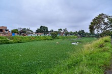 Reconociendo los humedales urbanos de la capital vallecaucana