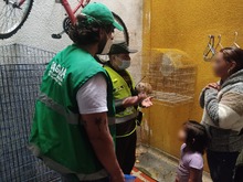 Contin&uacute;an aprehensiones de fauna silvestre 