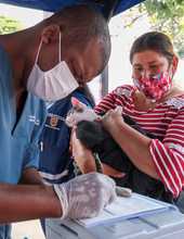 Jornada de vacunaci&oacute;n animal en la comuna 9