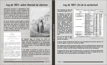 Cartilla &lsquo;Camino hacia la Libertad&rsquo;