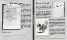 Cartilla &lsquo;Camino hacia la Libertad&rsquo;