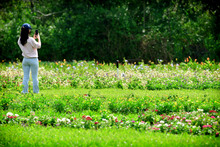 El Coraz&oacute;n de Pance ser&aacute; un espacio de vida, de reconexi&oacute;n con tu ser y la naturaleza