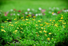  La armon&iacute;a, el equilibrio y la reconciliaci&oacute;n ser&aacute;n los principios que imperen en el medio ambiente del Coraz&oacute;n de Pance