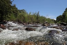 Coraz&oacute;n de Pance orienta su gesti&oacute;n hacia la reconciliaci&oacute;n ambiental, social y cultural con nuestro r&iacute;o Pance.