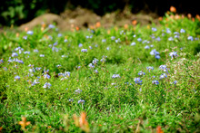 En cada espacio de este hermoso lugar es posible deleitarse con el aroma embriagante de la huerta de hierbas arom&aacute;ticas y disfrutar de la belleza del laberinto de polinizadores que atraen a seres m&iacute;ticos como los colibr&iacute;es.