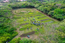 Llegar al Parque Ambiental Coraz&oacute;n de Pance implica reconectarse con los sentidos, respirar aire puro con una ola de frescura que embarga los pulmones; escuchar el canto melodioso de m&aacute;s de 268 especies de aves y el sonido relajante del emblem&aacute;tico r&iacute;o Pa