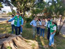 Un bosque con 4.100 &aacute;rboles ser&aacute; entregado a la Comuna 21