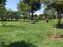 Un bosque con 4.100 &aacute;rboles ser&aacute; entregado a la Comuna 21