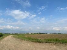 Capturan banda criminal dedicada a vender predios ilegales en Cali