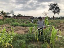 Desarrollo Econ&oacute;mico visita huertas comunitarias del jarill&oacute;n para articular estrategias sostenibles en Cali