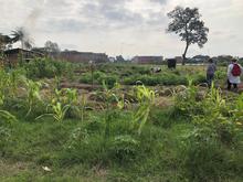 Desarrollo Econ&oacute;mico visita huertas comunitarias del jarill&oacute;n para articular estrategias sostenibles en Cali