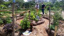 Desarrollo Econ&oacute;mico visita huertas comunitarias del jarill&oacute;n para articular estrategias sostenibles en Cali