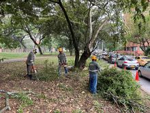 Imponen 25 medidas especiales por contravenciones a la salud ambiental  