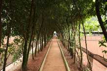 Club de Tenis, 100 a&ntilde;os de historia deportiva para Cali y Colombia