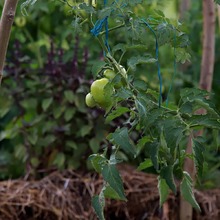 &ldquo;Queremos tener a Cali como l&iacute;der en el sistema de huertas comunitarias urbanas&rdquo;: Jorge Iv&aacute;n Ospina