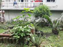 Experiencias comunitarias que transforman espacios para la convivencia  