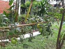 Experiencias comunitarias que transforman espacios para la convivencia  