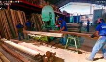 El Dagma les da &lsquo;madera&rsquo; a los ilegales