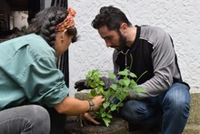 Estrategias para atraer a las aves y disfrutarlas en 