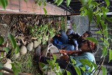 Estrategias para atraer a las aves y disfrutarlas en 