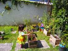 Estrategias para atraer a las aves y disfrutarlas en 