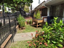 Estrategias para atraer a las aves y disfrutarlas en 