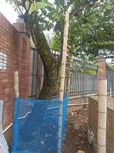 Dagma ejerce autoridad ambiental en proyectos urban&iacute;sticos y de infraestructura 