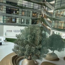 Cali conoce los avances mundiales a nivel tur&iacute;stico y econ&oacute;mico en Expo Dub&aacute;i