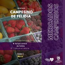 Este s&aacute;bado, que el alimento sea tu medicina con los &lsquo;Mercados Campesinos&rsquo;