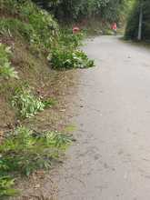 Programa &lsquo;Camineros&rsquo; hace mantenimiento rutinario en la zona rural cale&ntilde;a