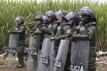 Recuperar el corredor ecol&oacute;gico de Navarro, tarea diaria del comit&eacute; de invasiones