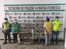 Operativo contra el tr&aacute;fico y maltrato animal