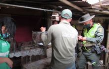 Operativo contra el tr&aacute;fico y maltrato animal